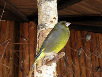 Similar image 150933