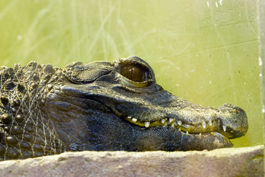 Similar image 150962