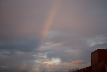 Similar image 150980