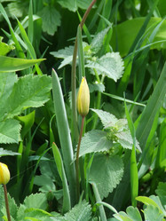 Similar image 151003