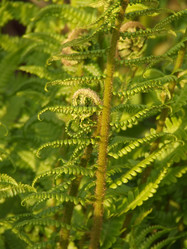 Similar image 151007