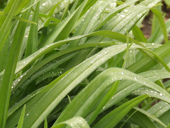 Similar image 151008