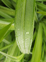 Similar image 151010