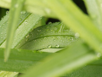 Similar image 151012