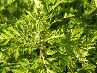 Similar image 151017