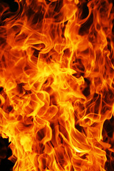 Similar image 151079