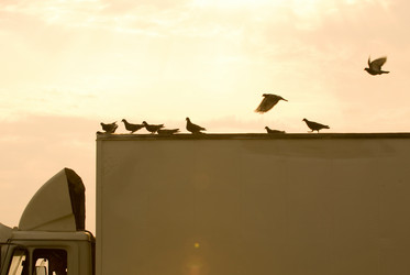 Similar image 151089