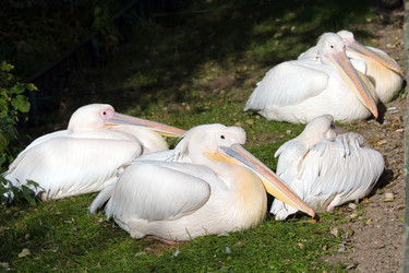 Similar image 151106