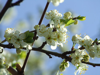 Similar image 151125