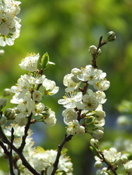 Similar image 151126