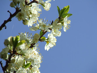 Similar image 151131