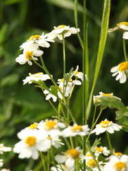 Similar image 151135