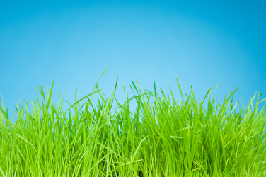 Similar image 151163