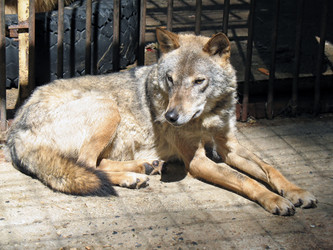 Similar image 151193