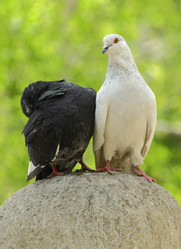 Similar image 151206