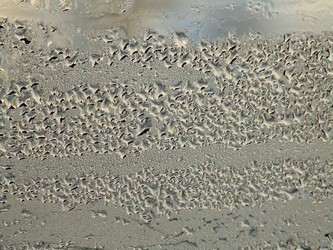 Similar image 151212