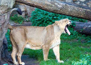 Similar image 151213