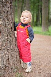 Similar image 151229