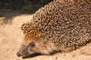 Similar image 151245