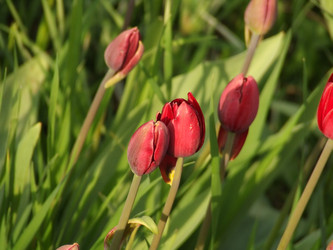 Similar image 151300