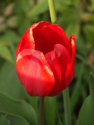 Similar image 151303