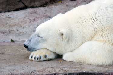 Similar image 151304