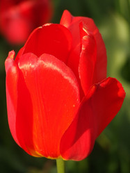 Similar image 151305