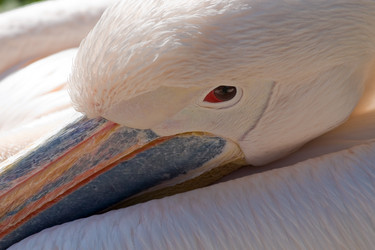 Similar image 151306