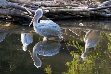 Similar image 151307