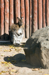 Similar image 151384