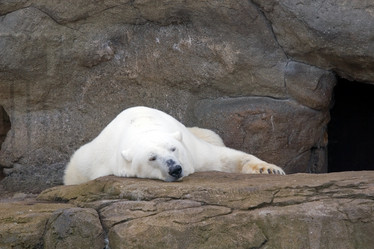 Similar image 151387