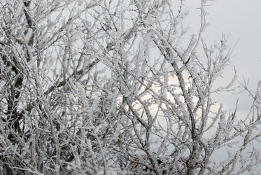 Similar image 151405