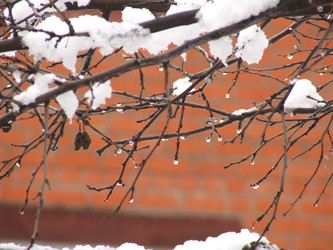 Similar image 151410