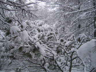 Similar image 151464