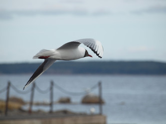 Similar image 151466