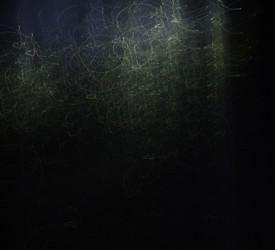 Similar image 151481