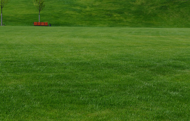 Similar image 151492