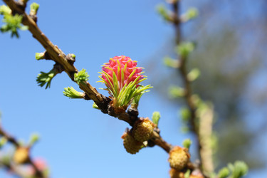 Similar image 151497