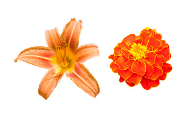 Similar image 151498