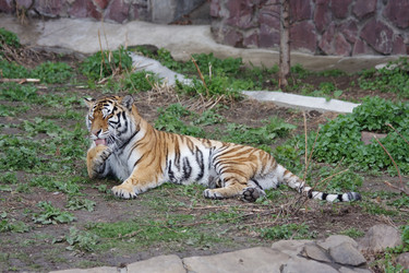 Similar image 151527