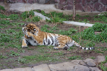 Similar image 151528