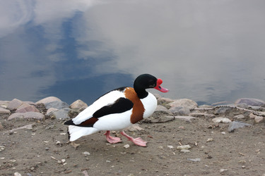 Similar image 151562