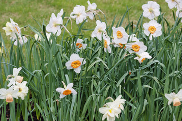 Similar image 151566