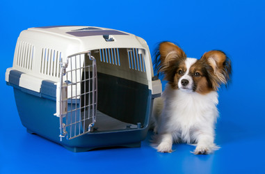 Similar image 151593