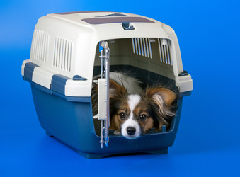 Similar image 151594