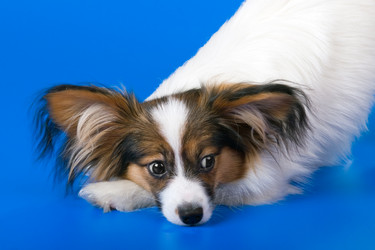 Similar image 151596