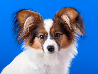 Similar image 151597