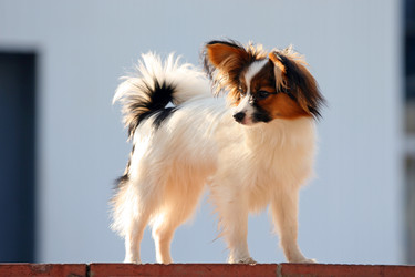 Similar image 151600