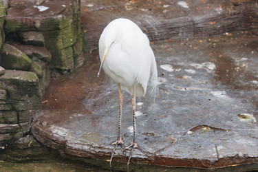 Similar image 151609