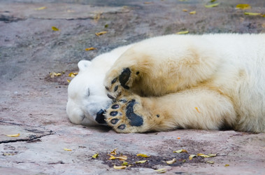 Similar image 151666